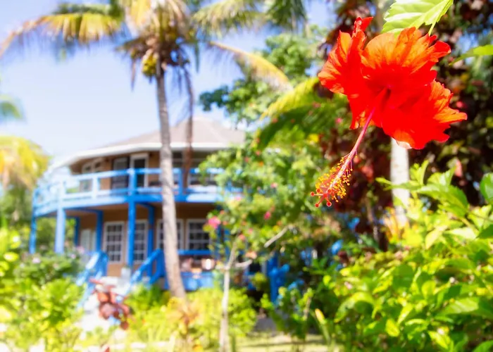 White Sands Cove G02-romantic Partial Ocean View 1 Bedroom By Floreo Aparthotel 4*