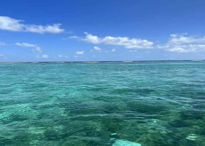 White Sands Cove G02-romantic Partial Ocean View 1 Bedroom By Floreo 4*