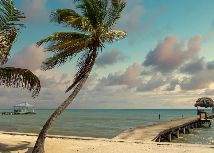 Aparthotel White Sands Cove G02-romantic Partial Ocean View 1 Bedroom By Floreo San Pedro (Ambergris Caye)